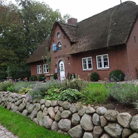 Ferienwohnung-Dg-Im-Reetdachhaus-Im-Ort-Welt Exterior photo